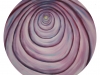 Red onion 2 (2012)